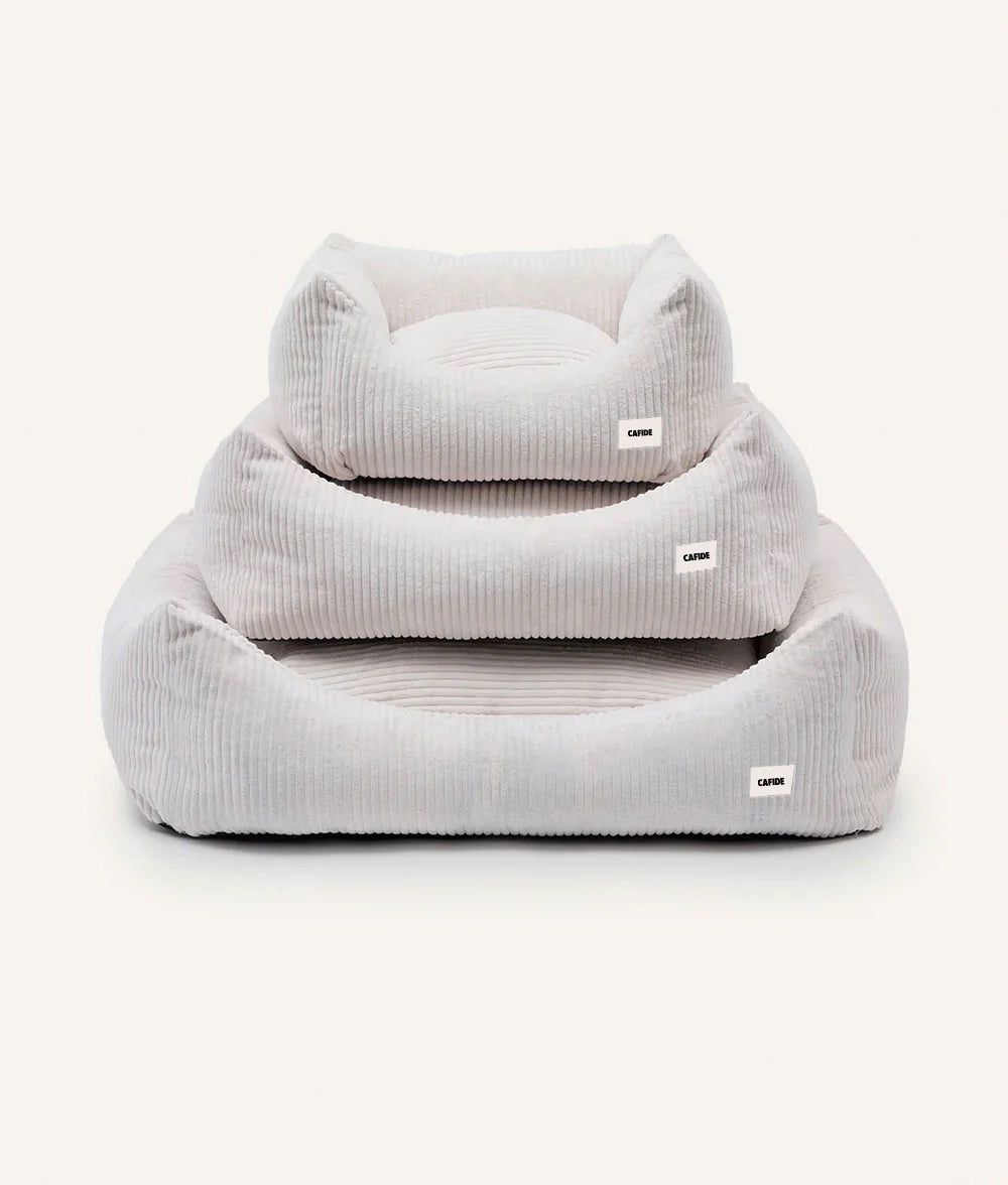 Gray pet bed with bear ears on a white background