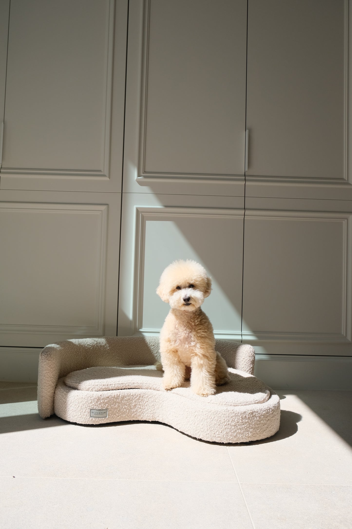 Small dog sitting on a wavy pet bed in a room with paneled walls.