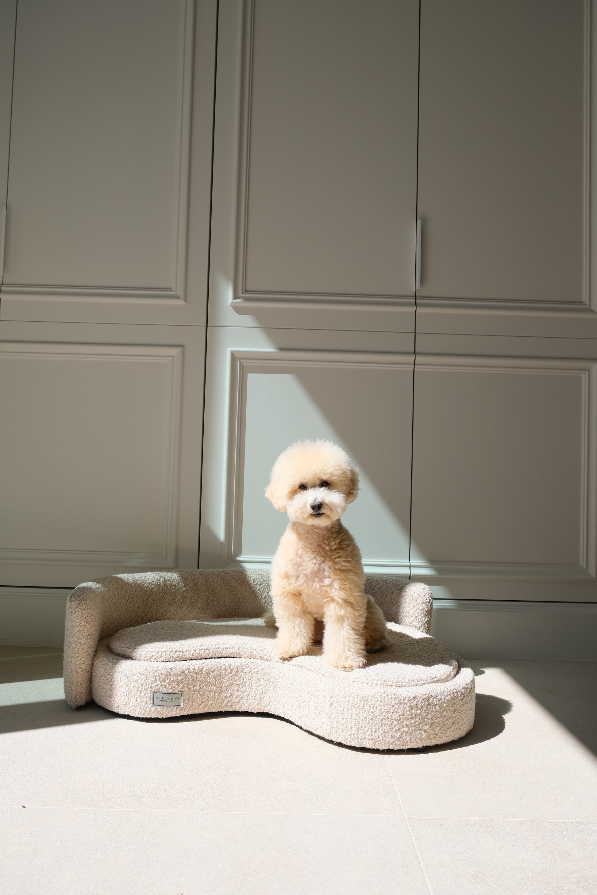 Small dog sitting on a wavy pet bed in a room with paneled walls.