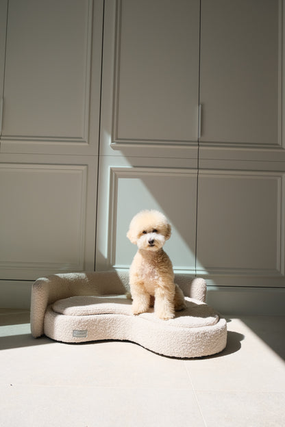 Small dog sitting on a wavy pet bed in a room with paneled walls.