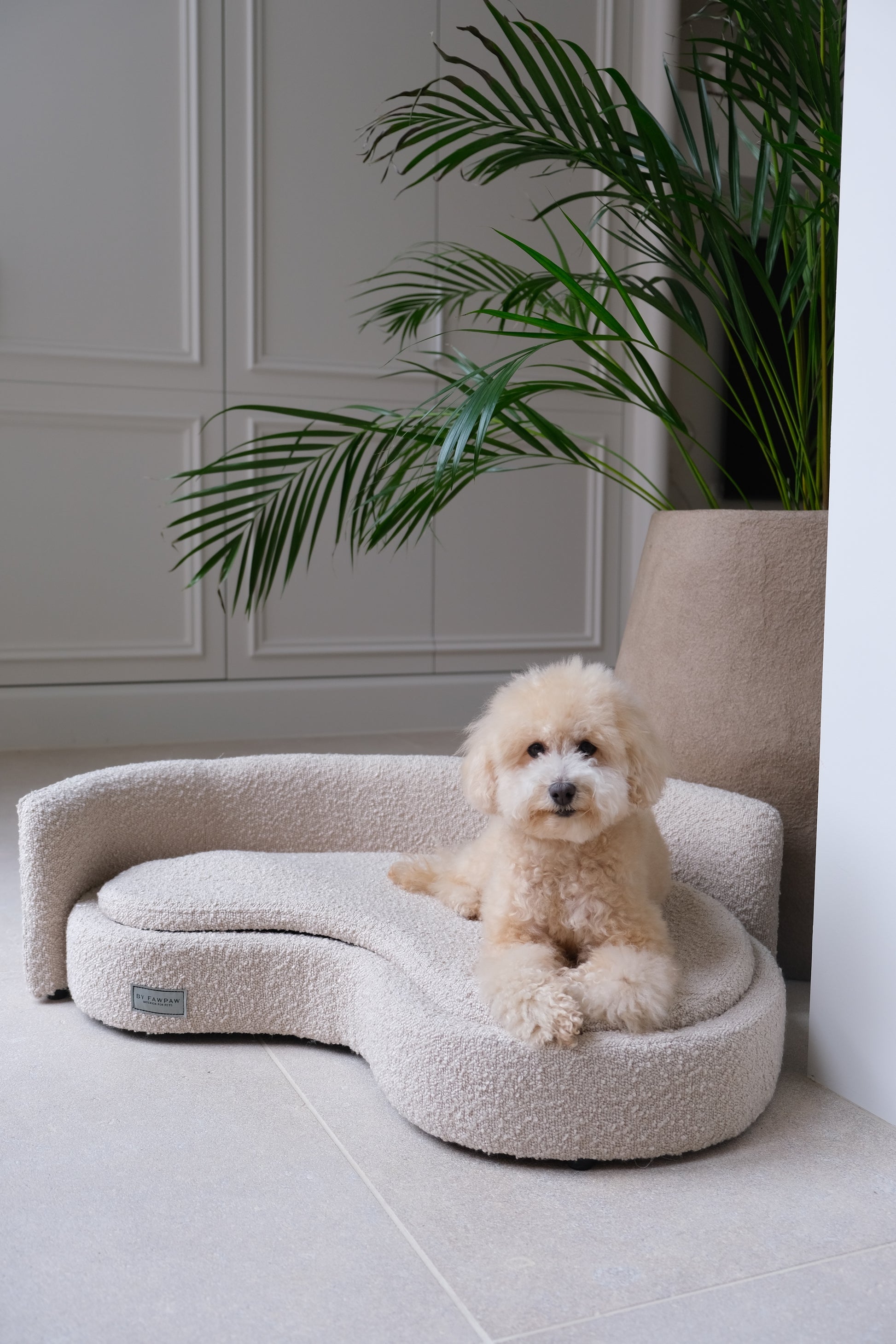 Dog sitting on a curved, fluffy pet bed in a room with a plant and white cabinets.