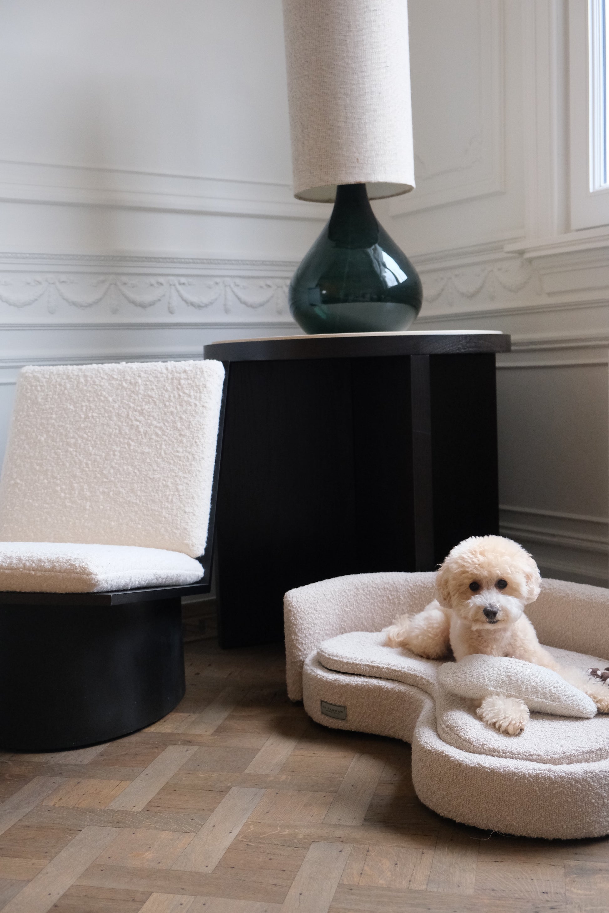 Dog lying on a pet bed in a stylish room with a chair and lamp.