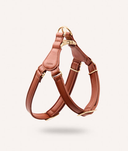 Brown leather dog harness with gold hardware on a light gray background