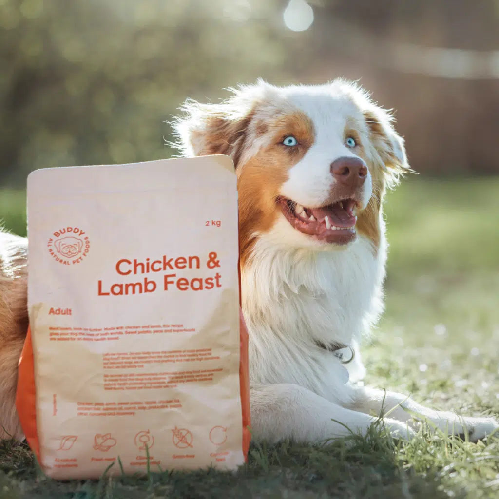 Buddy Chicken & Lamb Feast Dog Food (2 kg) – Grain-Free Complete Meal