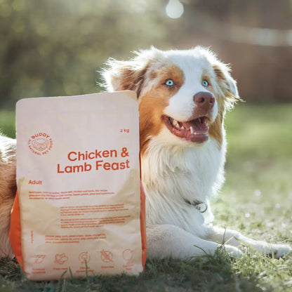 Buddy Chicken & Lamb Feast Dog Food (2 kg) – Grain-Free Complete Meal