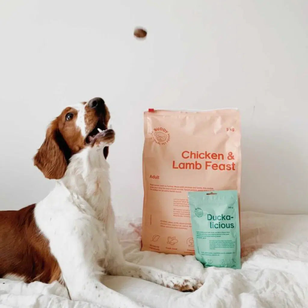 Dog playing with a treat next to a bag of Chicken & Lamb Feast dog food on a white surface.