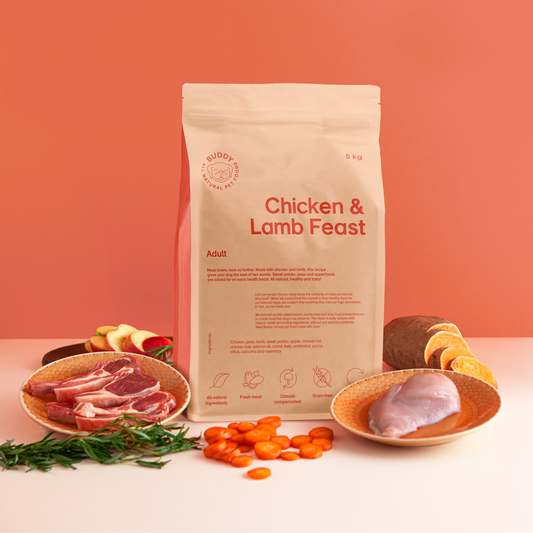 Buddy Chicken & Lamb Feast | Grain-Free Dry Food for Adult Dogs