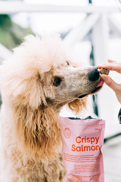 Buddy Crunchy Snack Salmon & Blueberries 150 g – Natural, Grain-Free Dog Treats