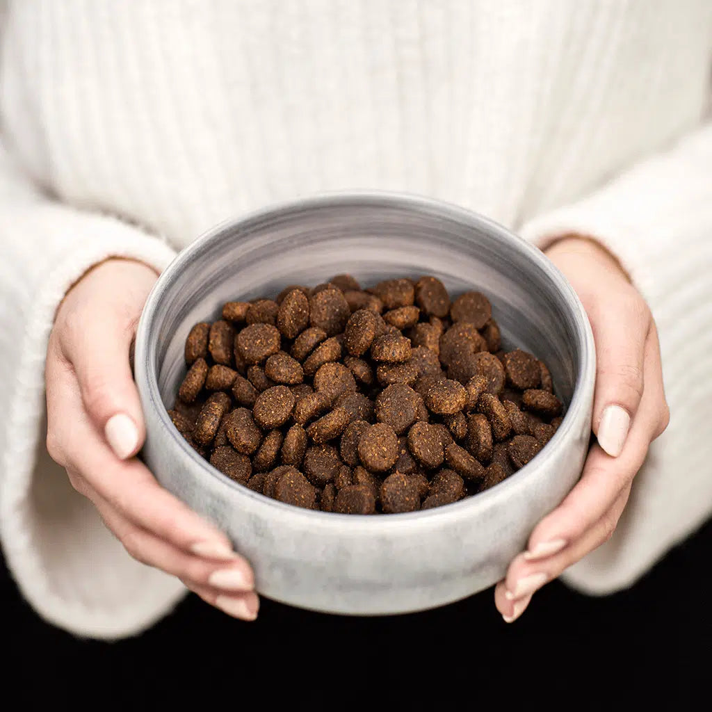 Buddy Grass-Fed Lamb Dog Food 2 kg – Grain-Free Complete Meal