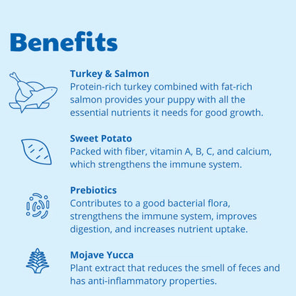 Buddy Puppy Food Turkey & Salmon (2kg) – Grain-Free Complete