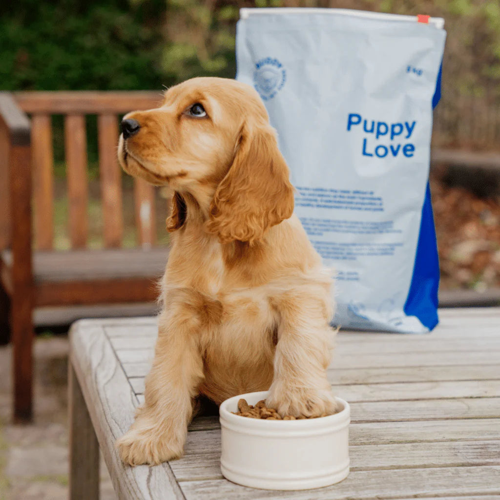 Buddy Puppy Food Turkey & Salmon (2kg) – Grain-Free Complete