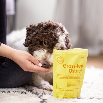 Dog sniffing a package of grass-fed ostrich meat with a person's hand holding the dog's head.