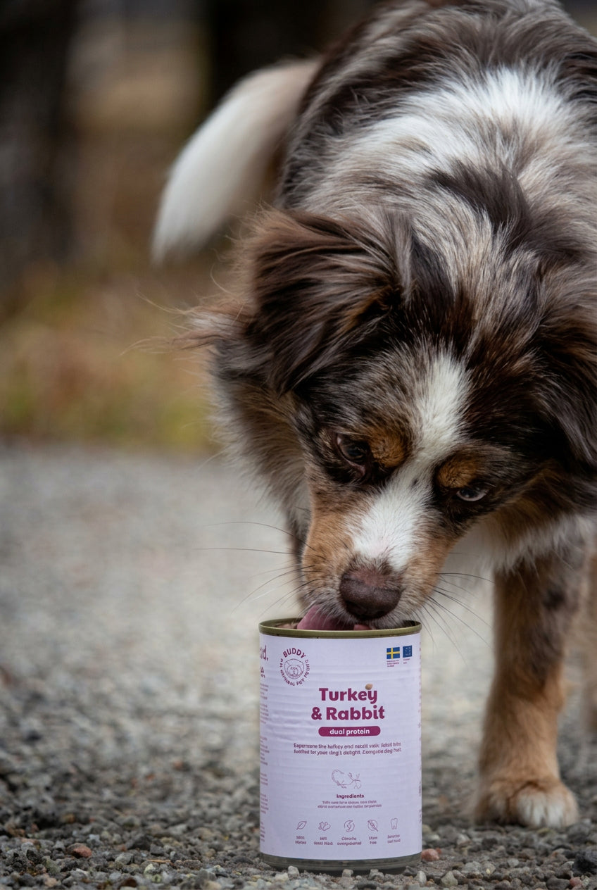 Dog sniffing a can of 'Turkey & Rabbit' pet food on a gravel surface.