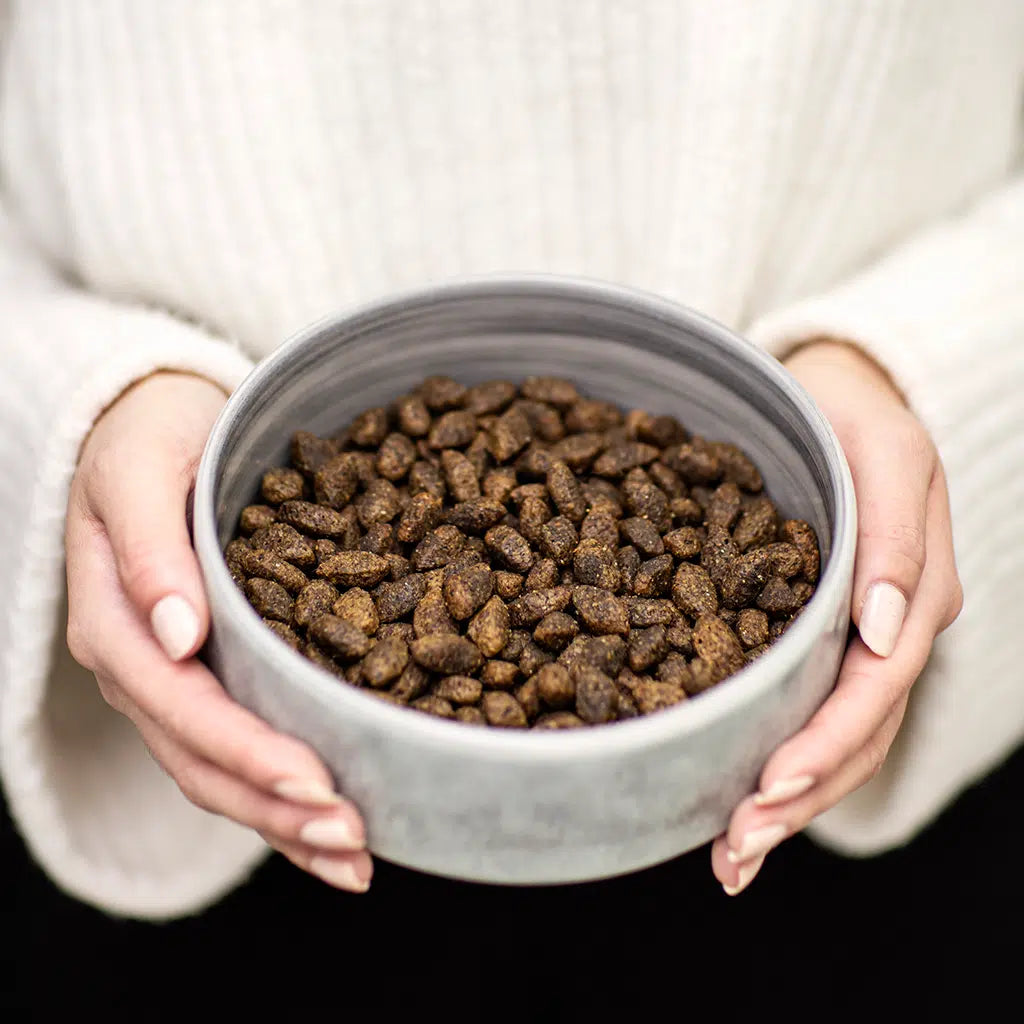 Person holding a bowl of pet food