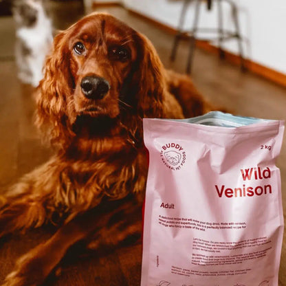 Dog sitting next to a bag of Buddy Wild Venison dog food.