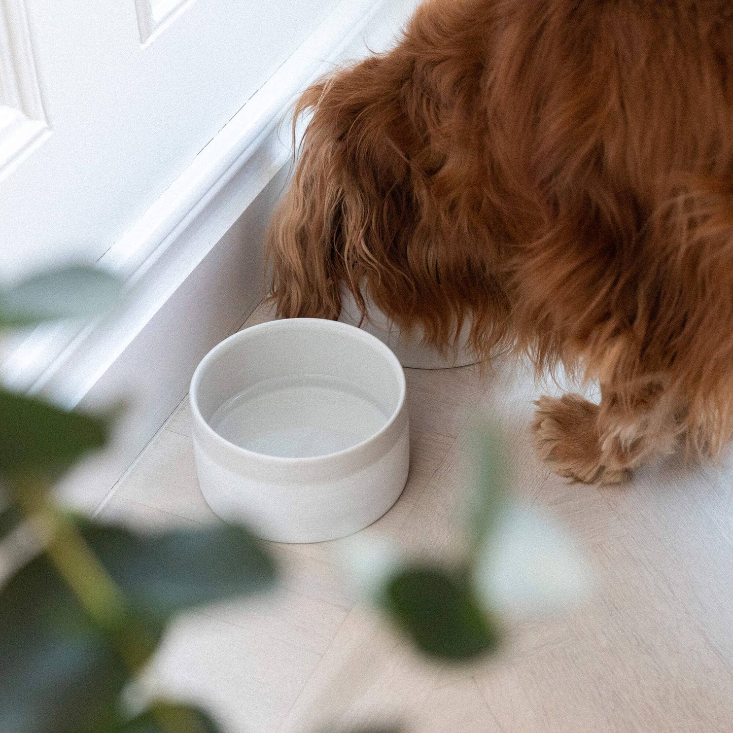 Mateus Ceramic Dog Bowl Sand – Handcrafted Luxury for Dogs