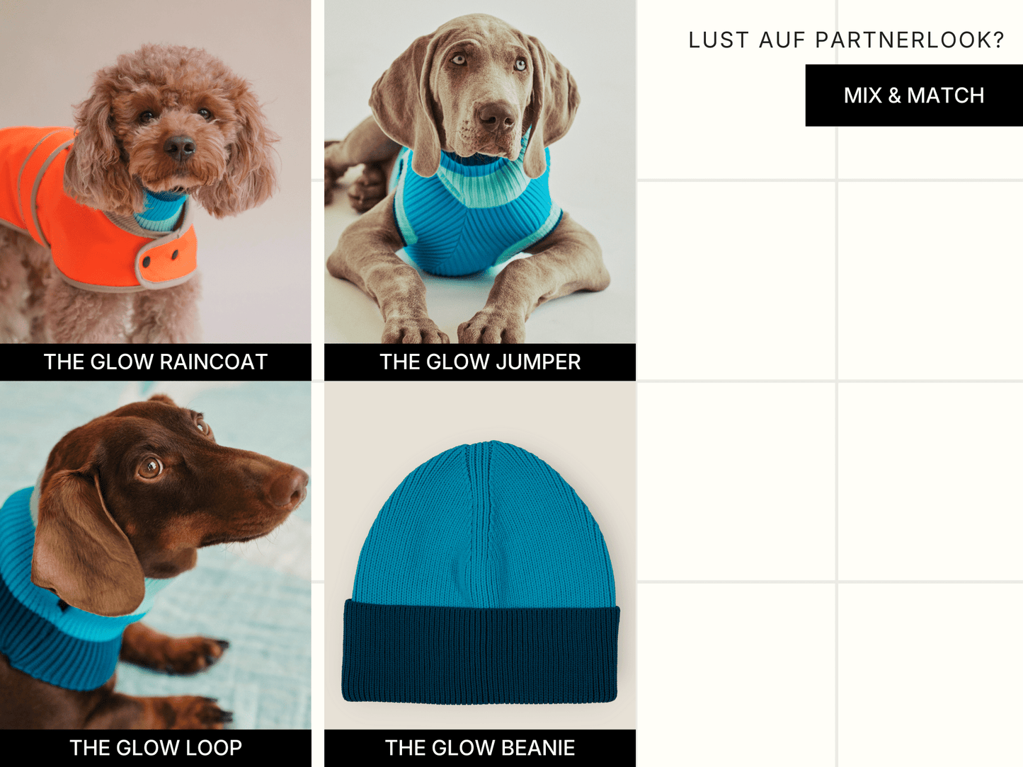 THE GLOW JUMPER 2.0 - Neon Dog Sweater - (Crystal Sky): Crystal Sky / 4