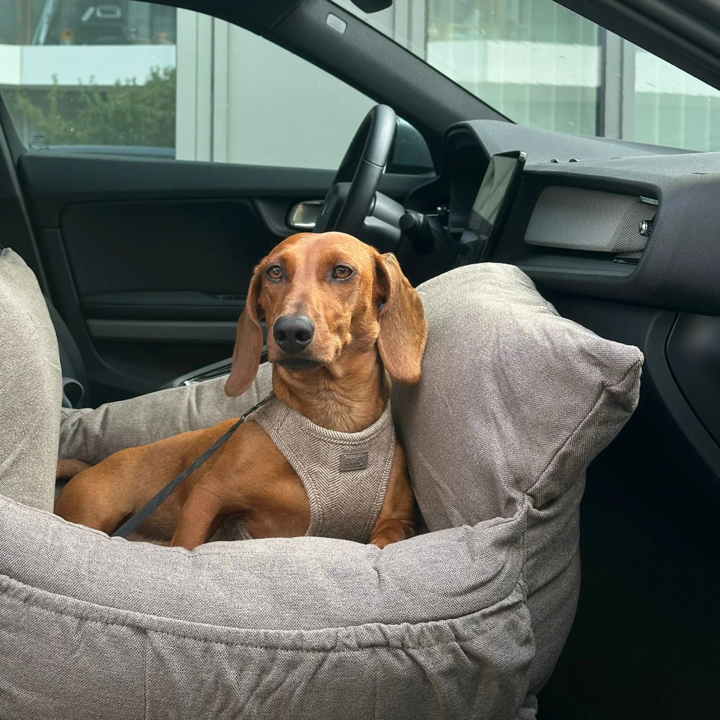 Car Seat Lara | Taupe 2.0 – 3-in-1 Dog Car Seat, Bed & Travel Bag