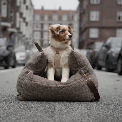 Dog sitting in a fluffy pet bed on a city street