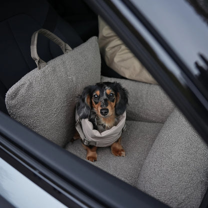 Small dog wearing a sweater sitting in a car seat with a car seat cover.