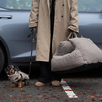 Person in a trench coat with a dog in a coat, standing next to a car with a pet carrier.