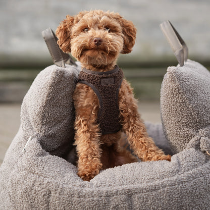 Small brown dog sitting in a gray pet bed with a blurred outdoor background