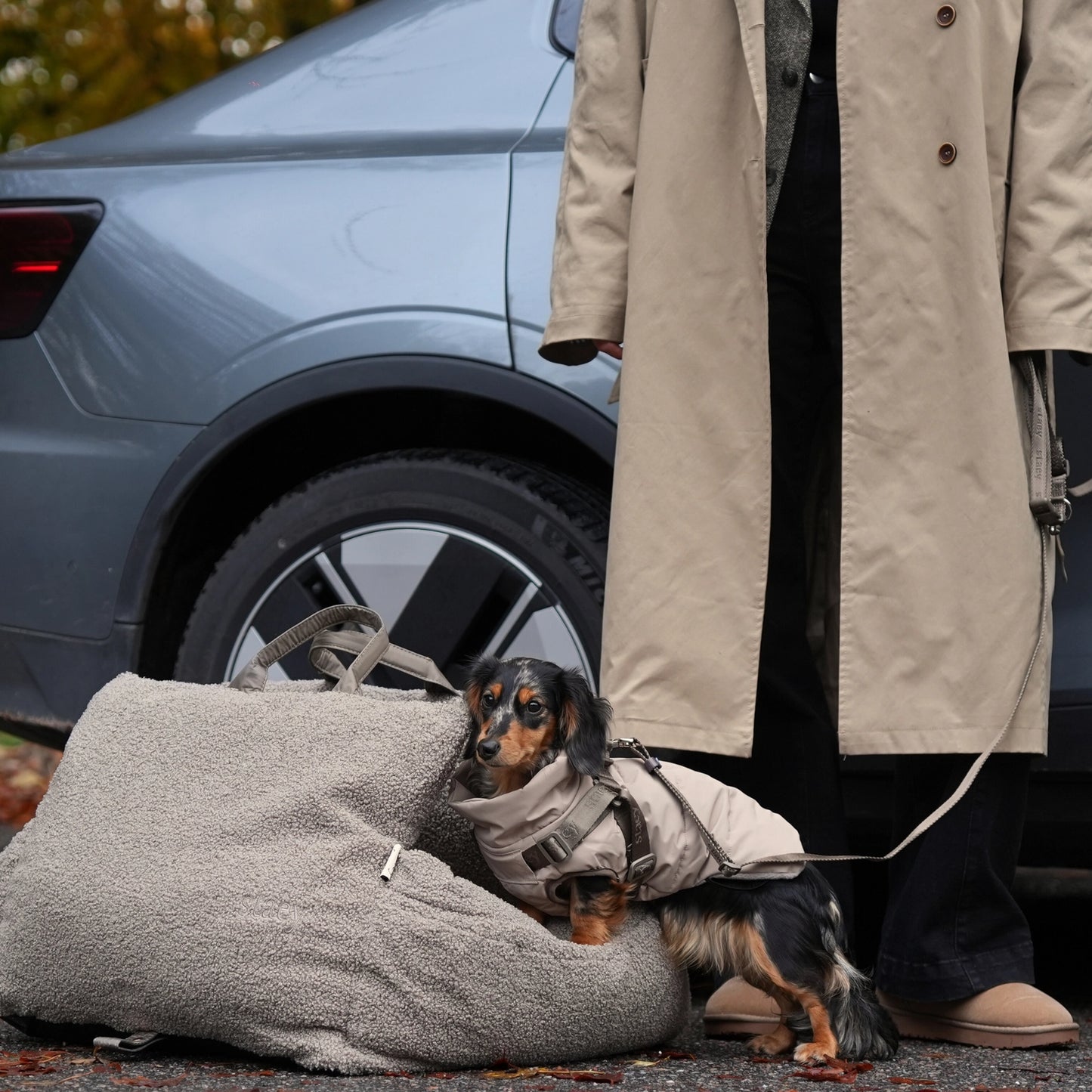 Person in a trench coat standing next to a car with a small dog in a coat on a dog bed.