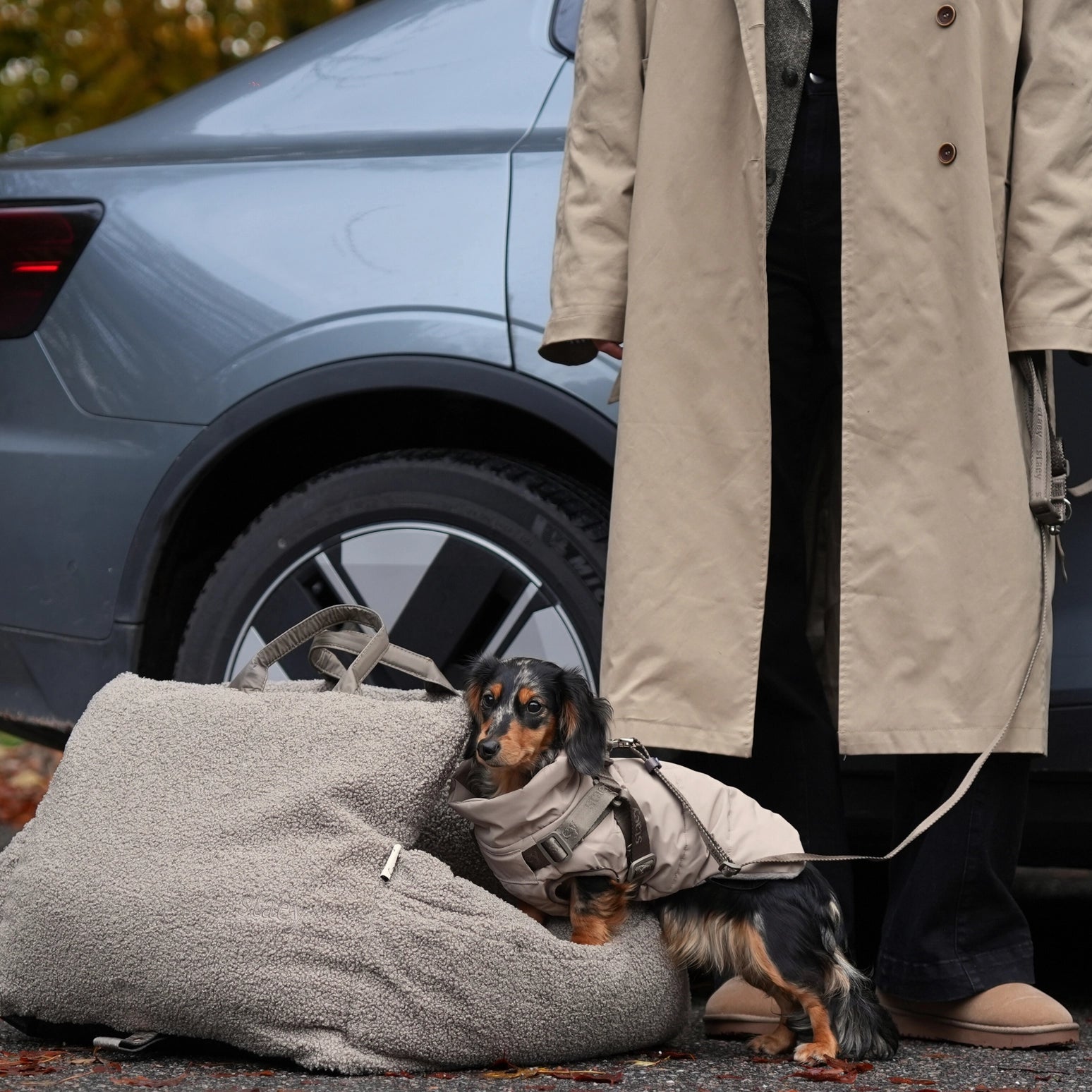 Person in a trench coat standing next to a car with a small dog in a coat on a dog bed.