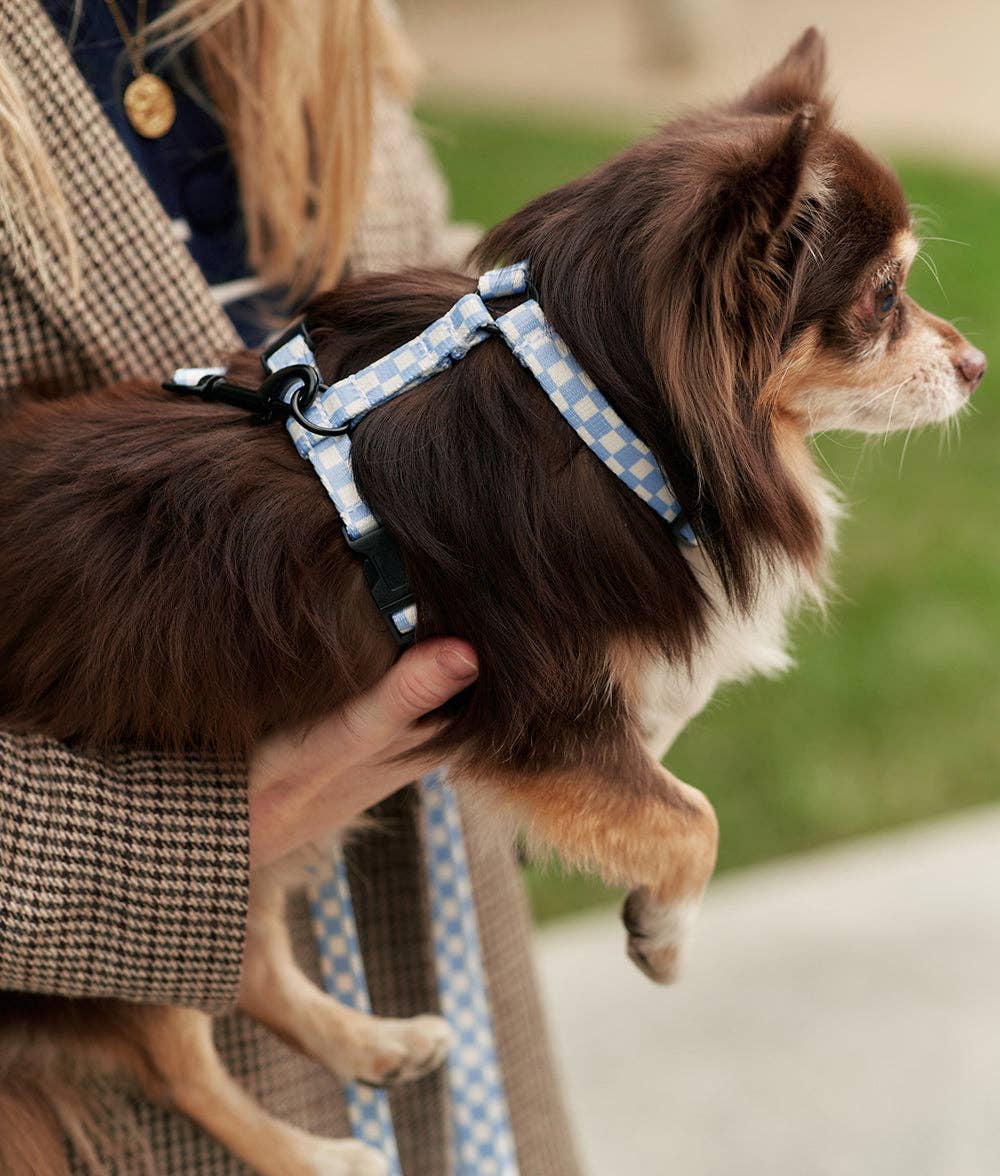 Juno Dog Harness – Vichy Blue | Lightweight Recycled PET Harness