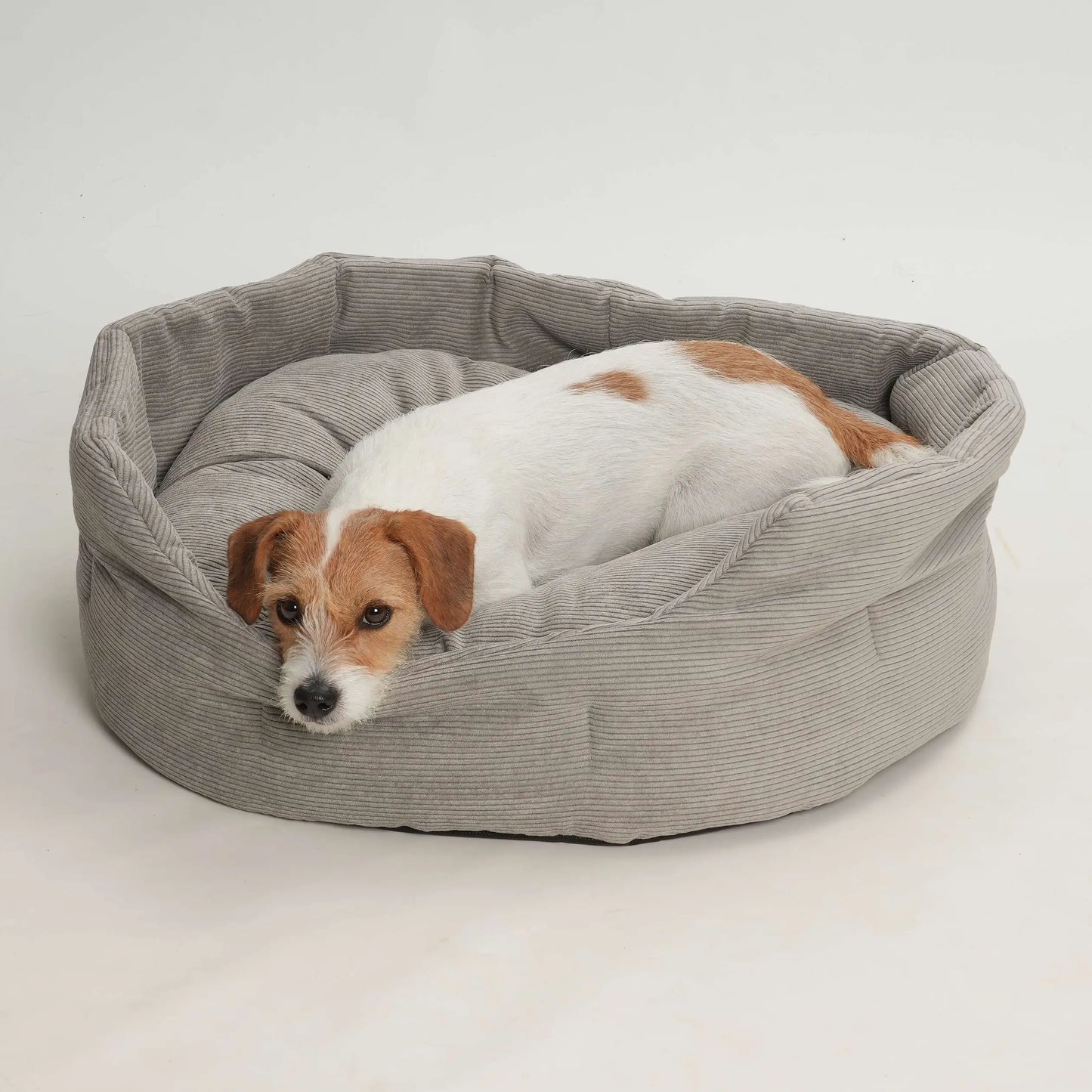 Chelsea Cord Muse Dog Basket – Washable & Soft