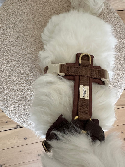 Adjustable Padded Dog Harness PRO Chocolate – Dual Clip, Brass Details