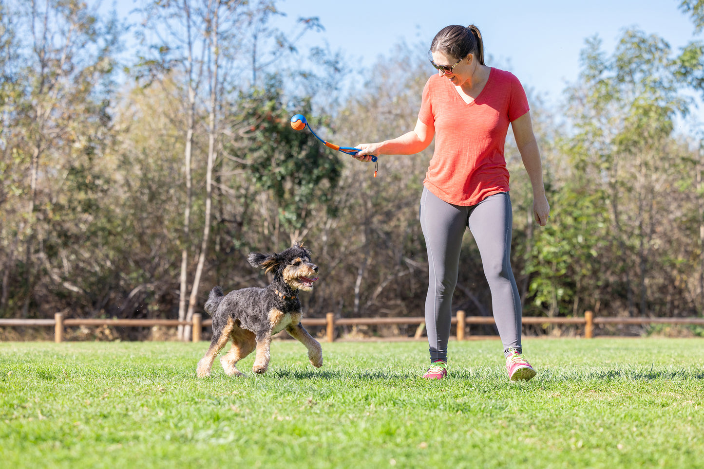 Chuckit Fetch & Fold Mini 18M Ball Launcher