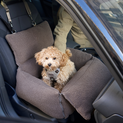 Dog sitting in a brown pet seat in a car