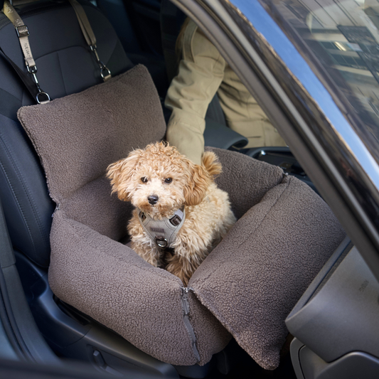 Dog sitting in a brown pet seat in a car