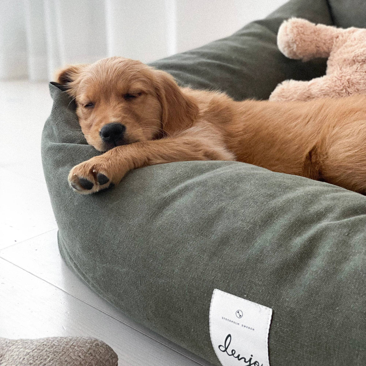 Puppy lying on a green dog bed with a teddy bear in the background