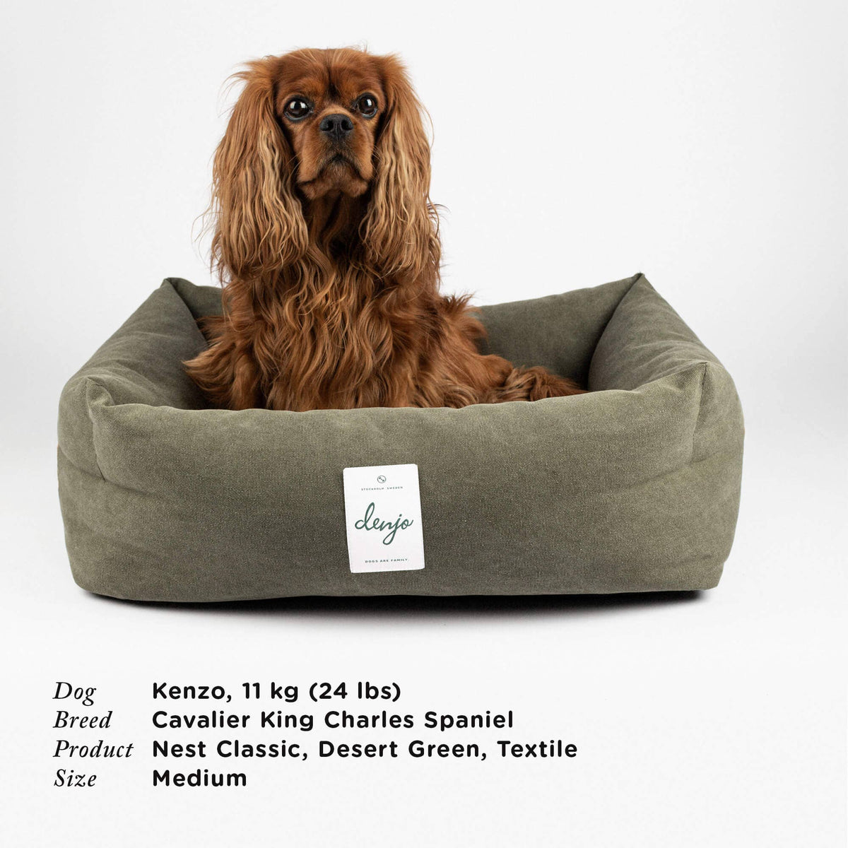 Dog sitting in a desert green pet bed with a label on a white background