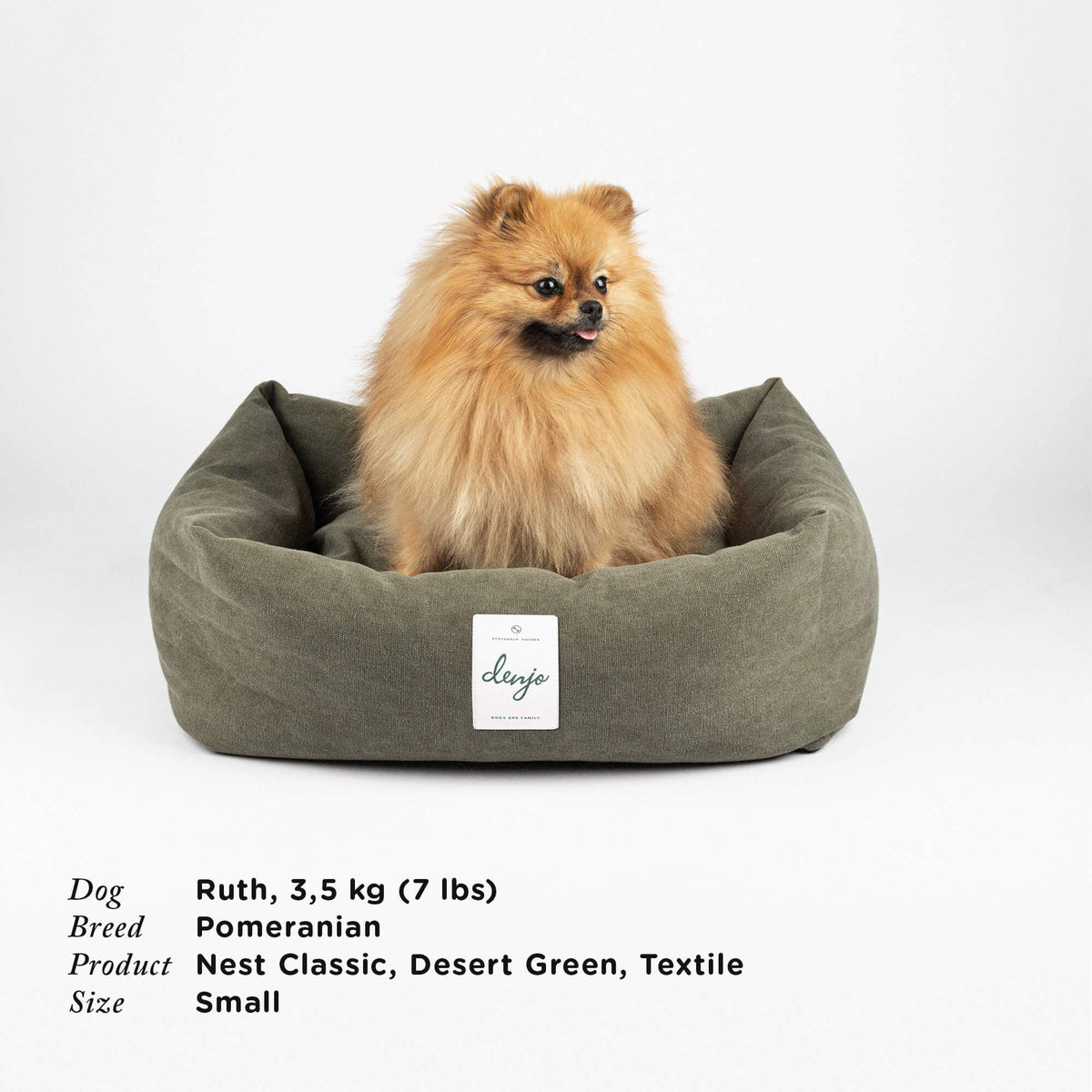 Pomeranian dog in a desert green pet bed with 'Clevage' label on a white background