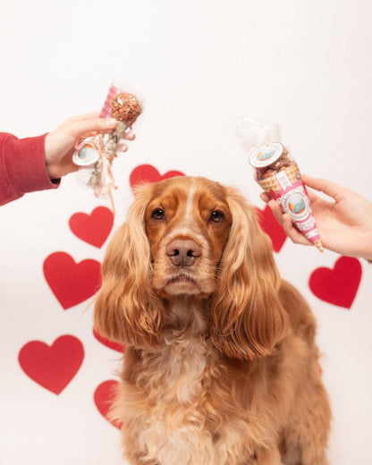 Dog with two dog toys held by hands against a heart-patterned background