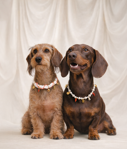 Coral Dog Charm Necklace – Decorative Collar with Charms | Sira