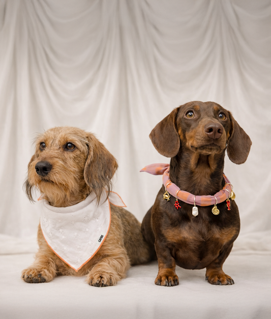 Coral Embroidered Dog Bandana – Adjustable Cotton | Nata