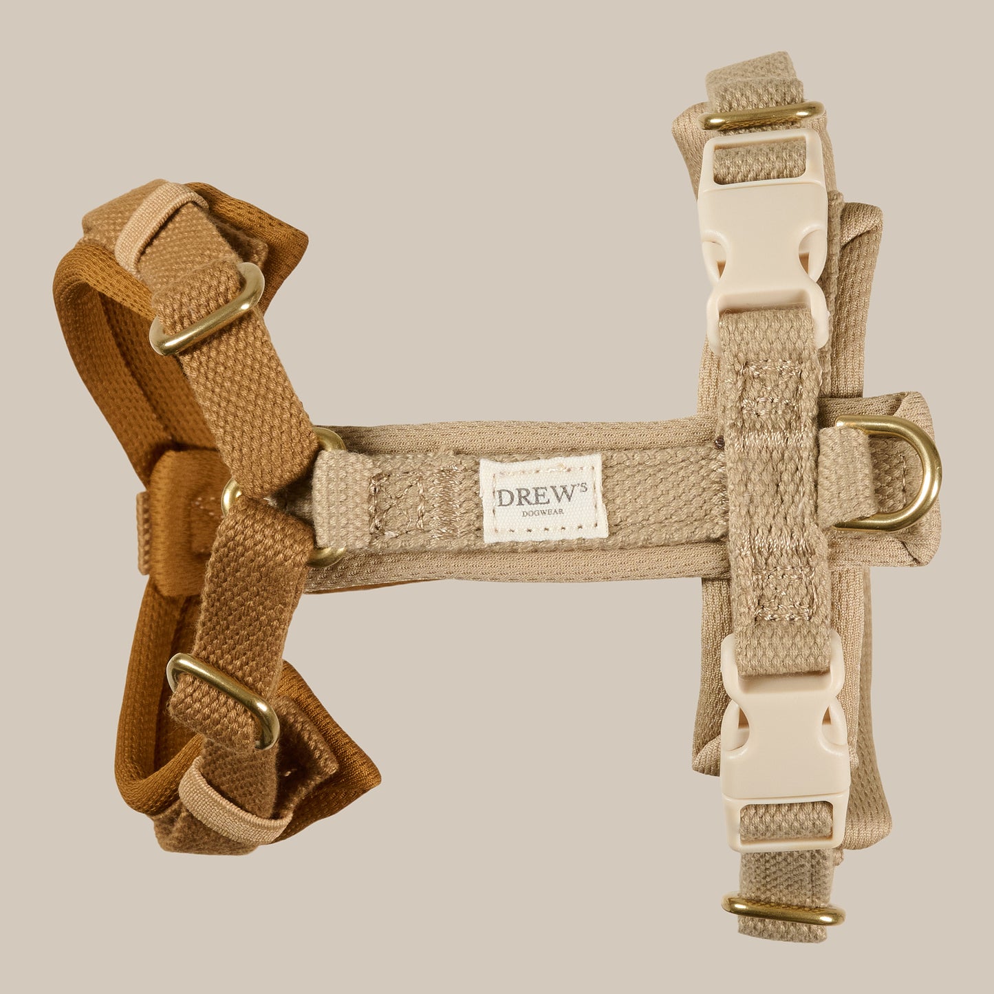 Dog harness with gold hardware on a beige background