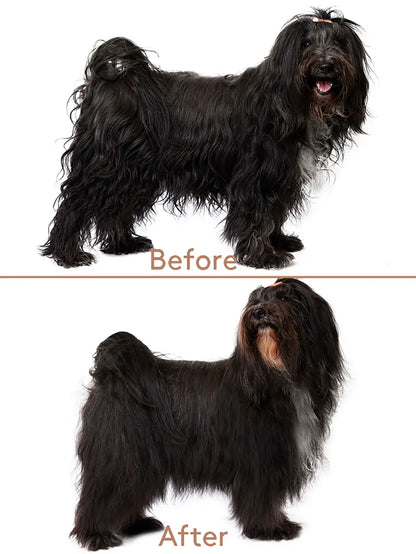 Cuddle+Care Shampoo JORD – Gentle Revitalizing Dog Shampoo 375 ml