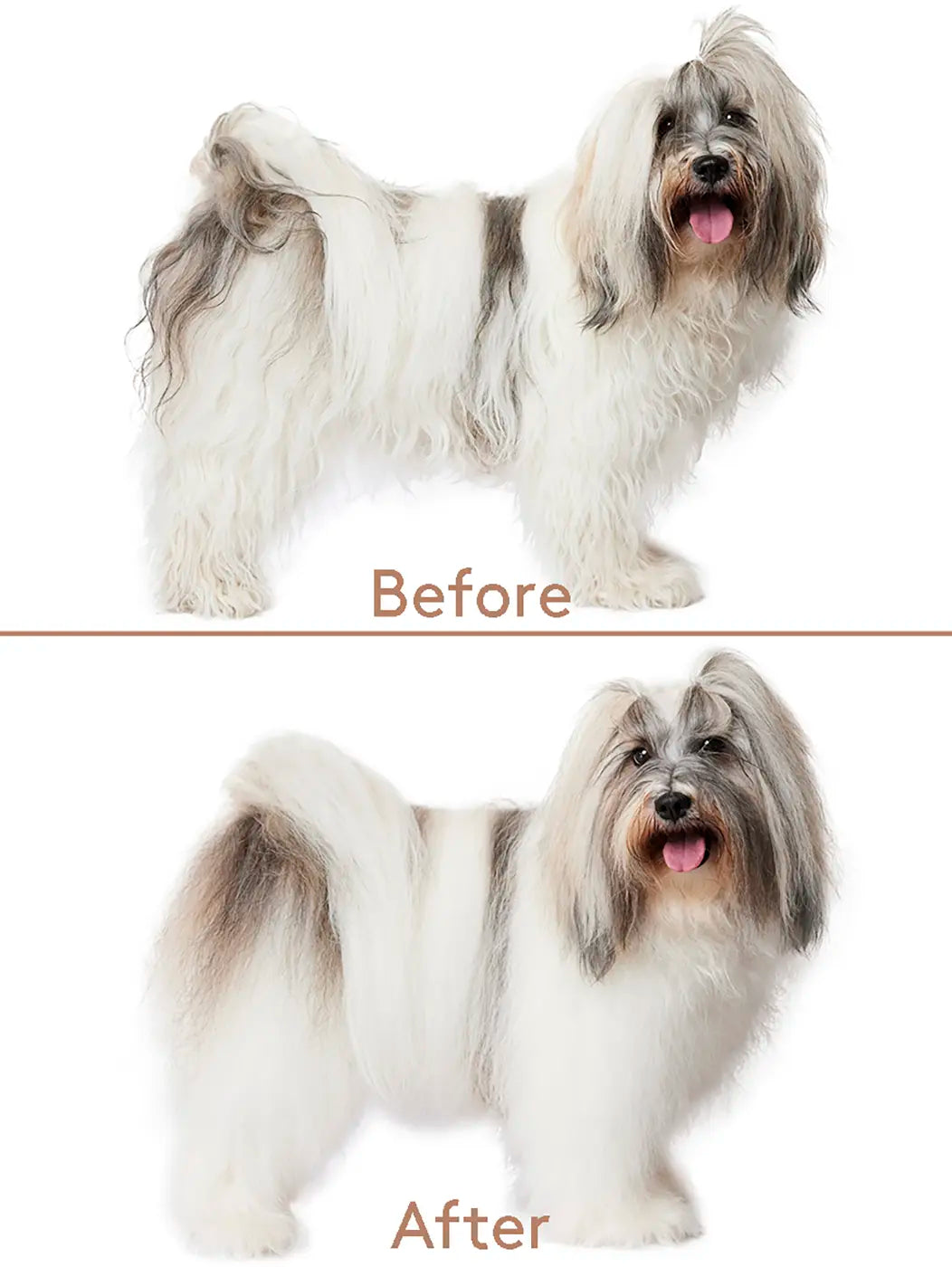Cuddle+Care Shampoo VAND – Gentle Revitalizing Dog Shampoo 375 ml