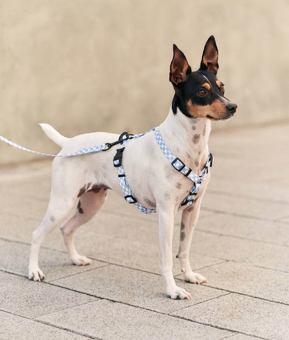 Juno Dog Strap – Vichy Blue | 1.2m Recycled PET Leash