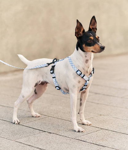 Juno Dog Strap – Vichy Blue | 1.2m Recycled PET Leash