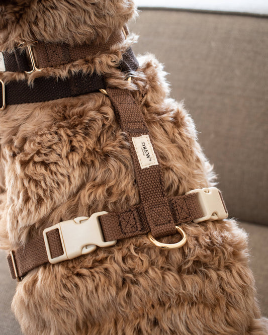 Dog Harness Chocolate – Lightweight & Stylish