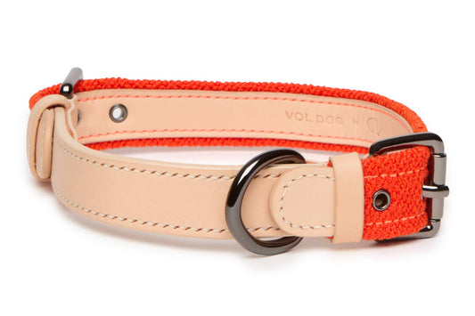 Collar Special Edition Raf Simons CoLAB