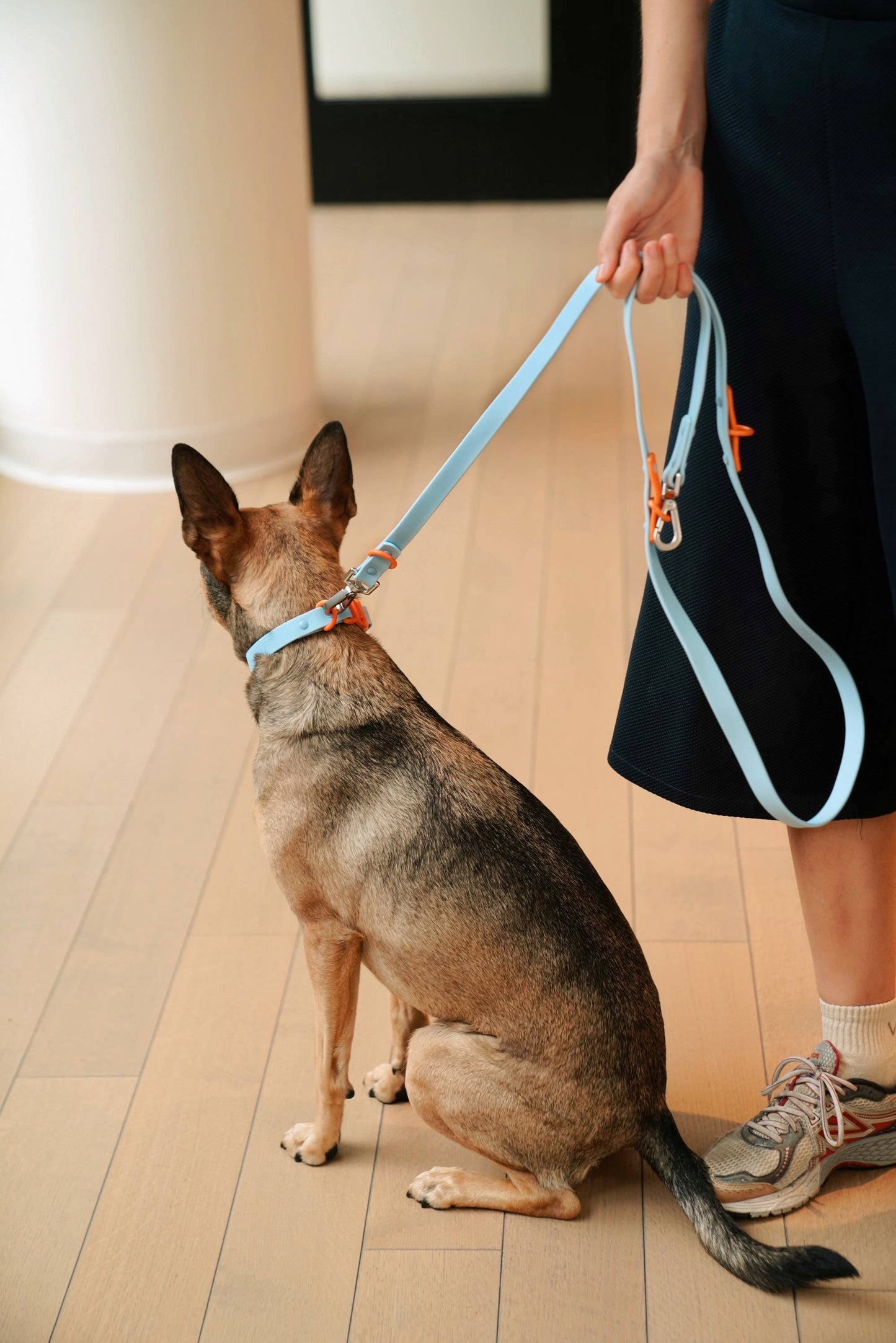 Waterproof Fritz Dog Leash in Baby Blue Orange – Adjustable & Durable