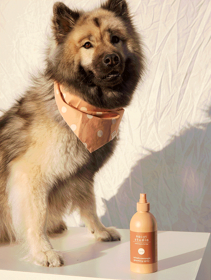 Refresh+Detangle Grooming Spray JORD 375 ml – 3-in-1 Dog Spray
