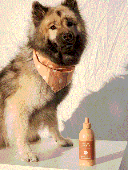 Refresh+Detangle Grooming Spray JORD 375 ml – 3-in-1 Dog Spray